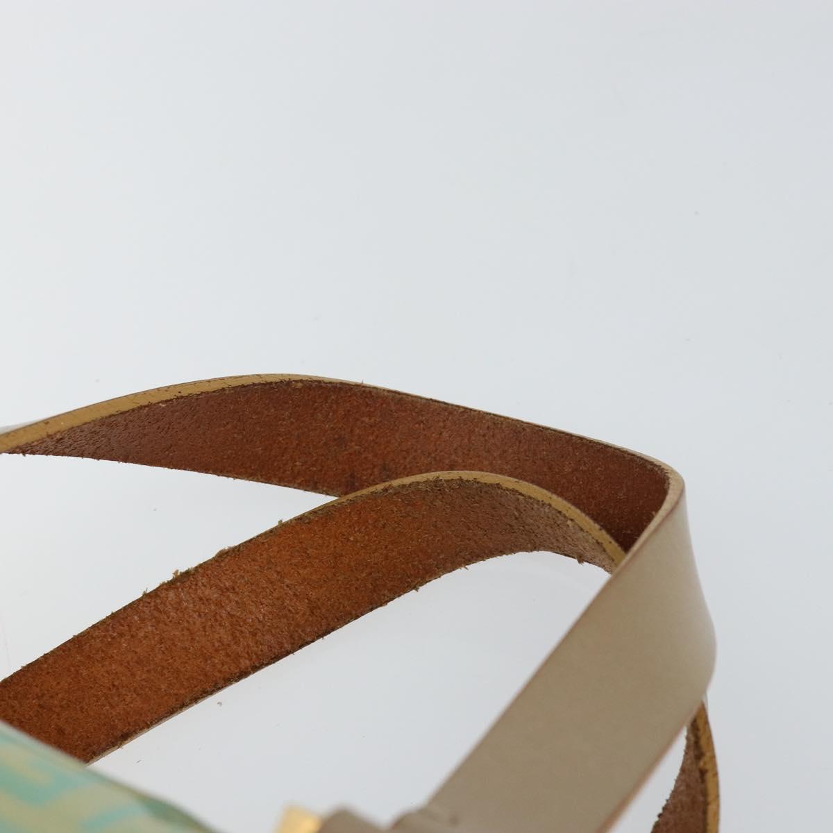 FENDI Zucchino Canvas Hand Bag Gold Light green Auth 144431