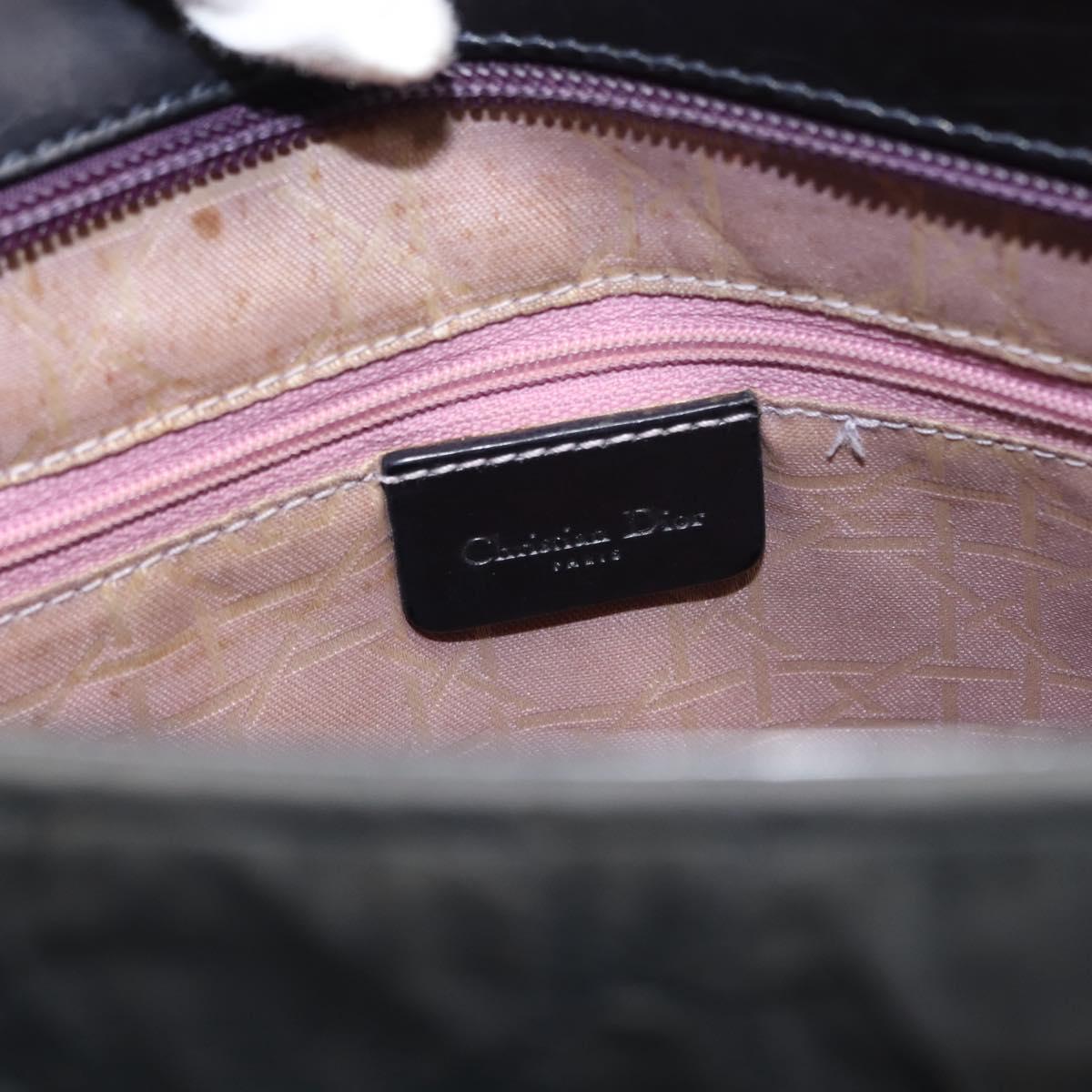 Christian Dior Canage Shoulder Bag Nylon Black Silver Auth 144646