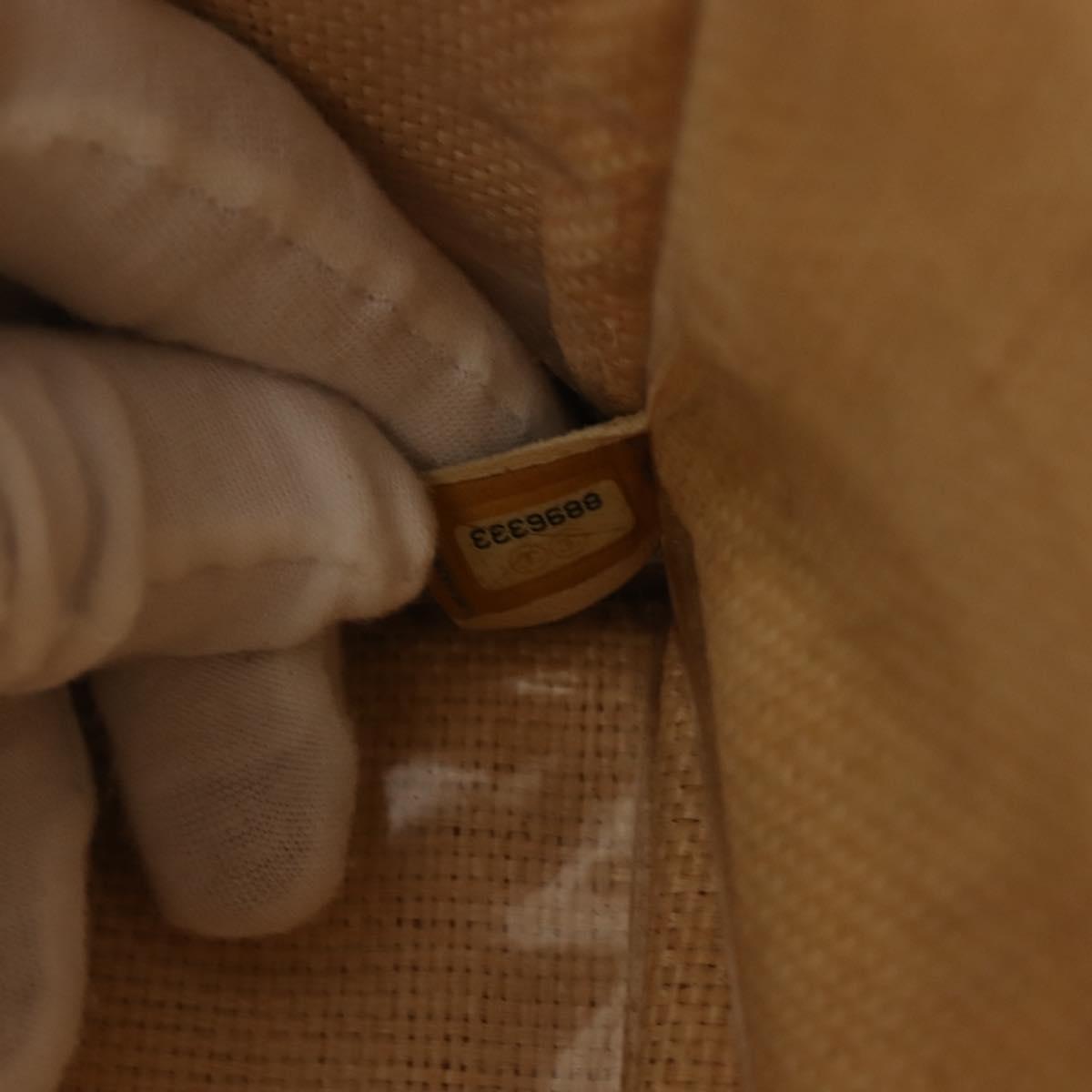 CHANEL Camelia Tote Bag Raffia Beige Gold CC Auth 145323