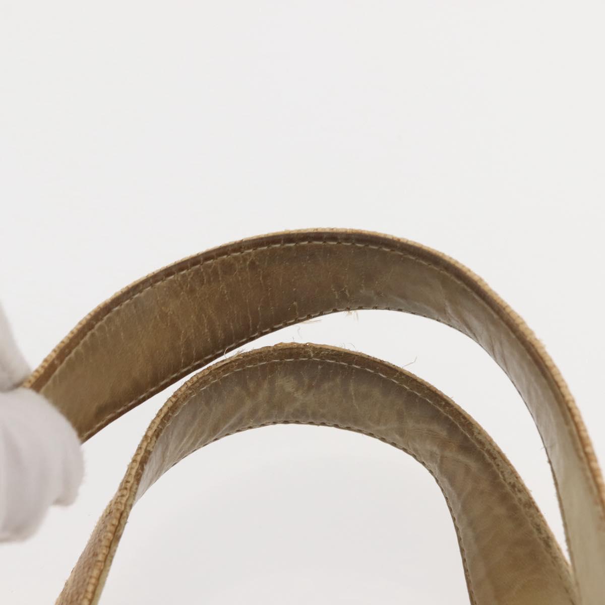 CHANEL Camelia Tote Bag Raffia Beige Gold CC Auth 145323