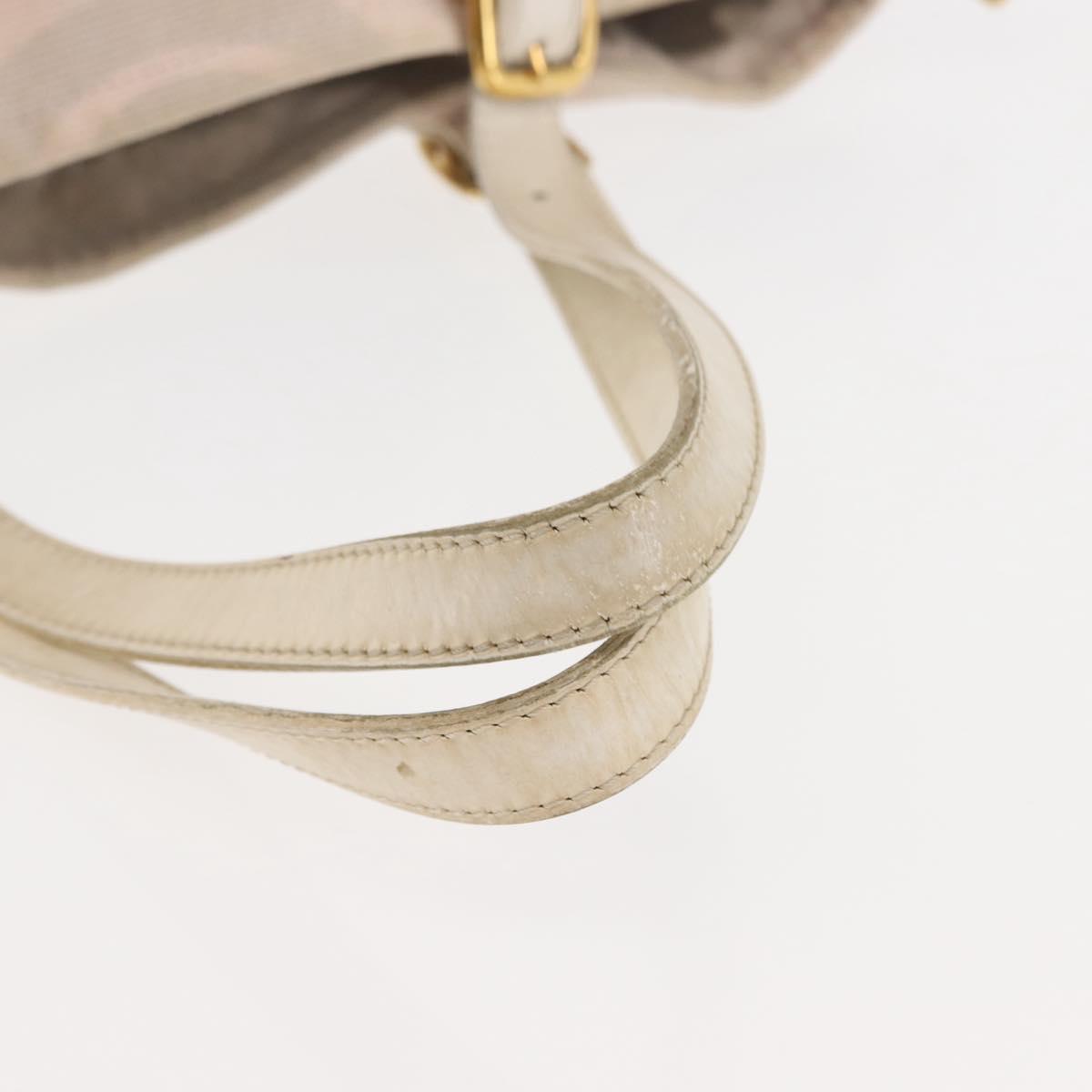 LOUIS VUITTON Cruise Line Taicienne PM Bag Canvas Pink M95672 LV Auth 145691