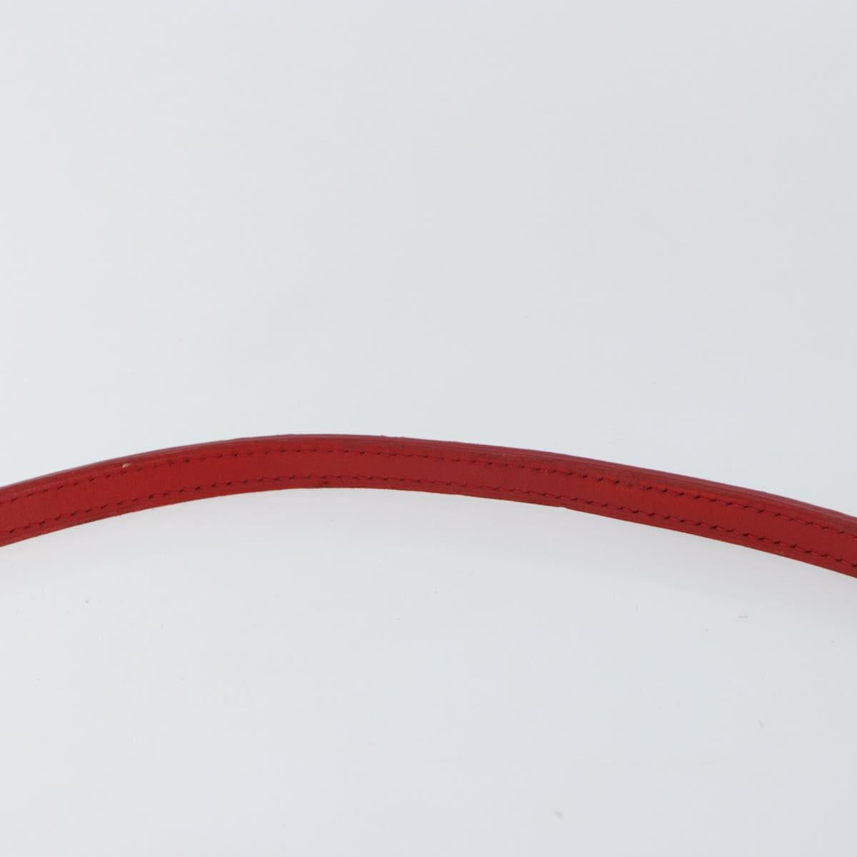 LOUIS VUITTON Damier Color Module Clutch Bag Car Mine N41306 LV Auth 145890