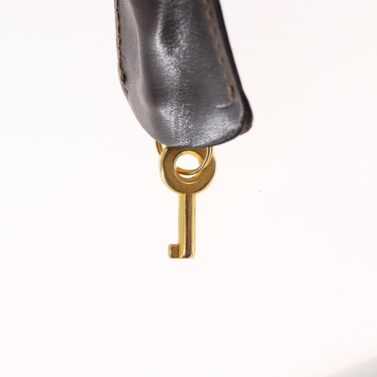 FENDI Zucca Canvas Hand Bag Black Brown gold Auth 145924