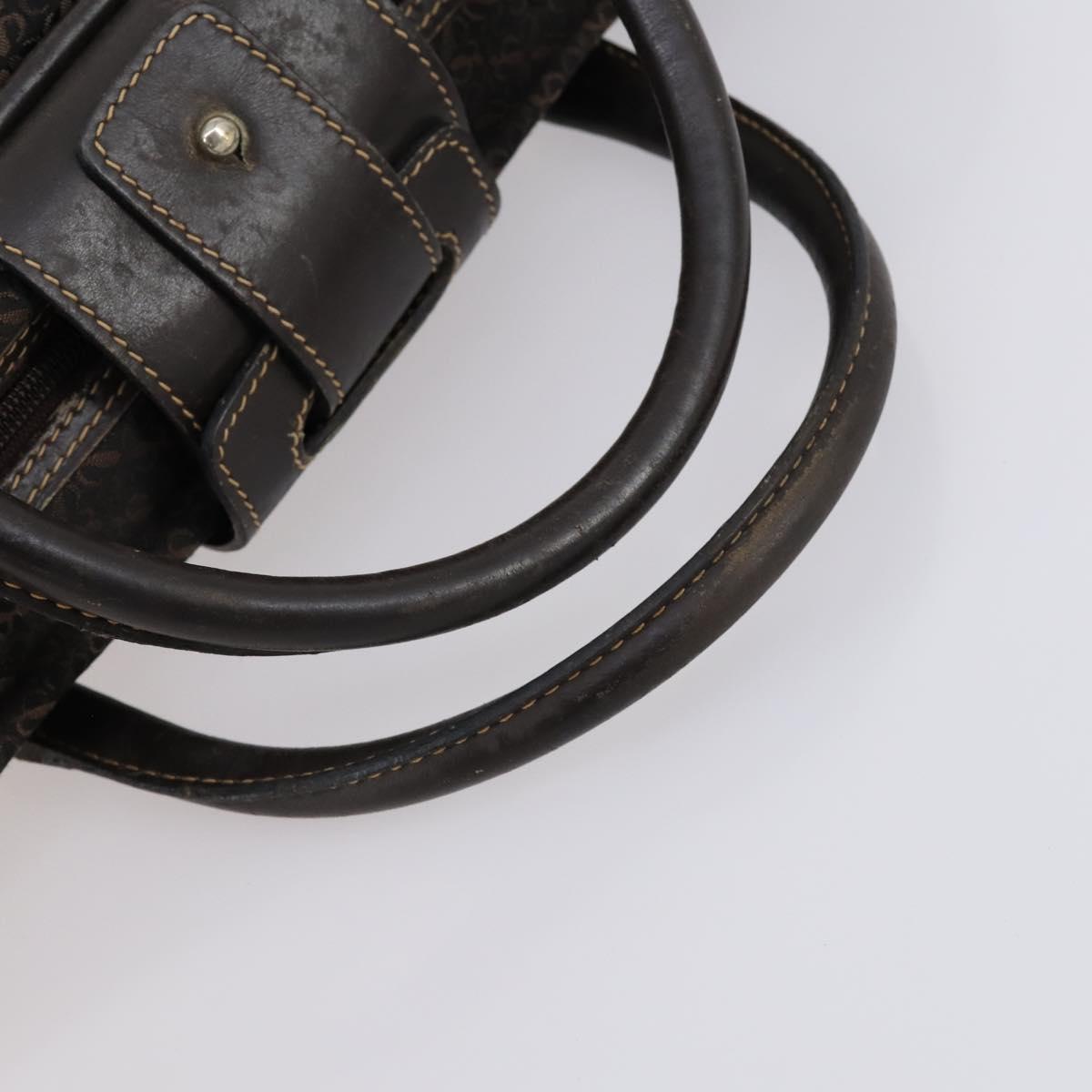 LOEWE Trunk Canvas Leather Dark Brown Gold Auth 146599