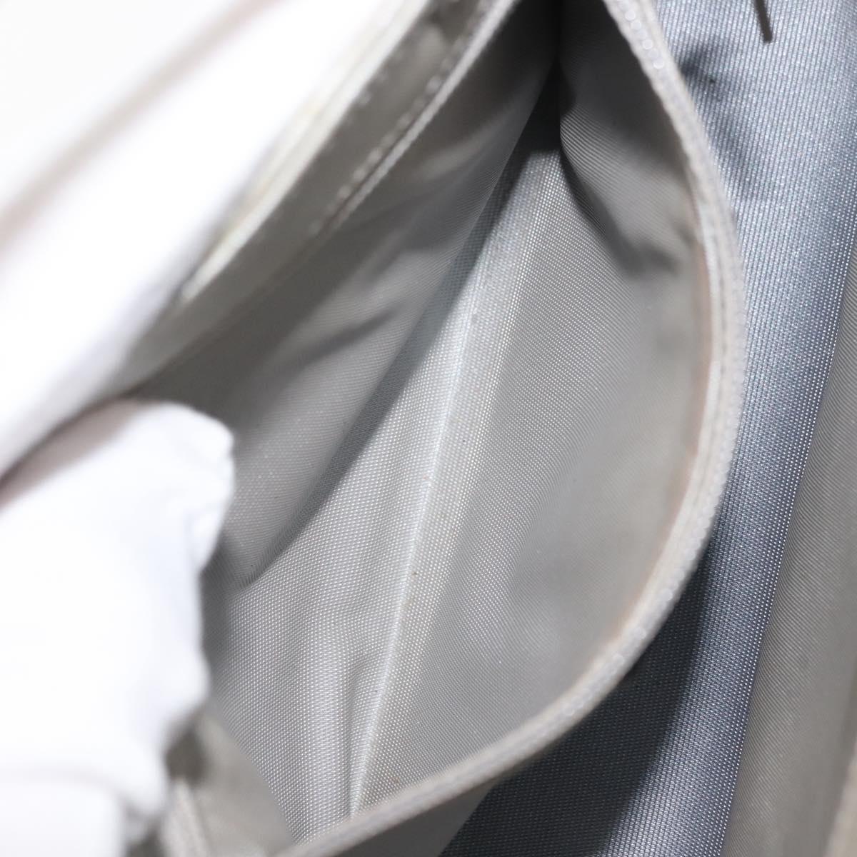 CHANEL Hand Bag Nylon Gray CC Auth 146688