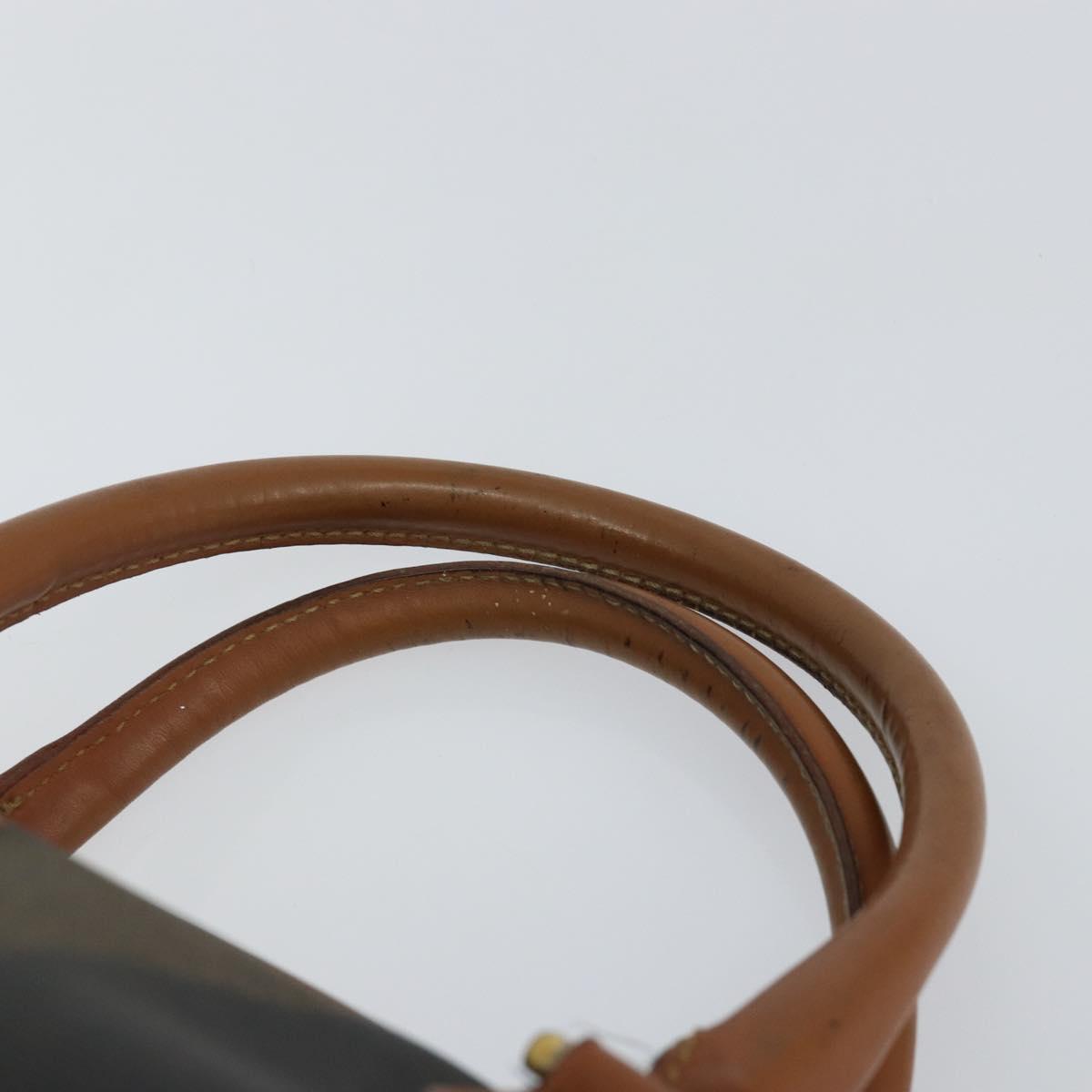 FENDI Pecan Canvas Hand Bag PVC Brown Gold Auth 146932