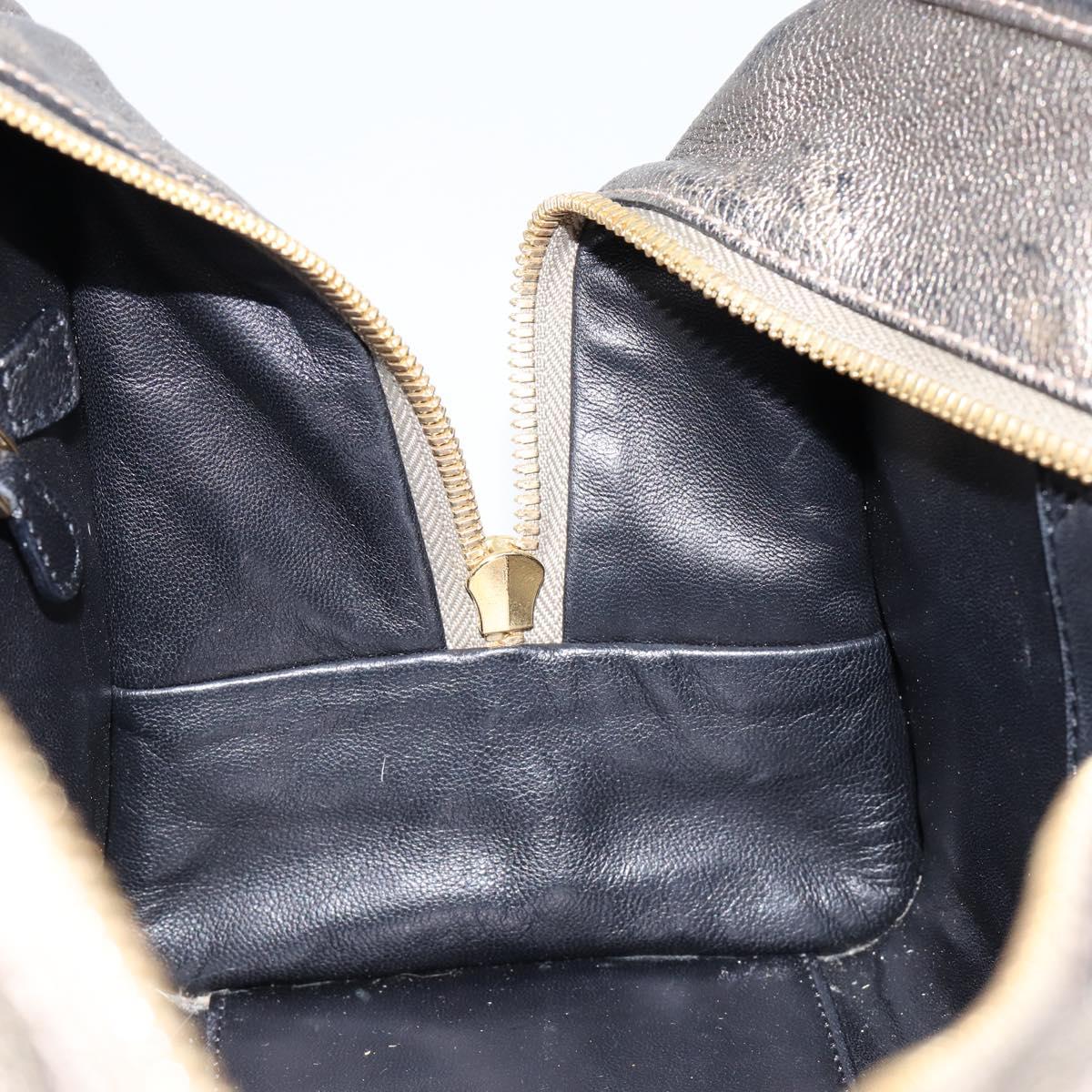 LOEWE Anagram Americana 28 Hand Bag Leather Gold Auth 147012