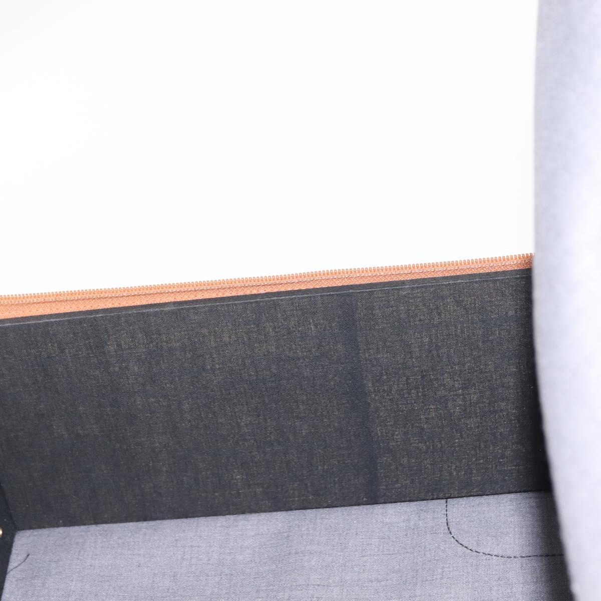 FENDI Pecan Canvas Trunk Case PVC Black Brown Auth 147028