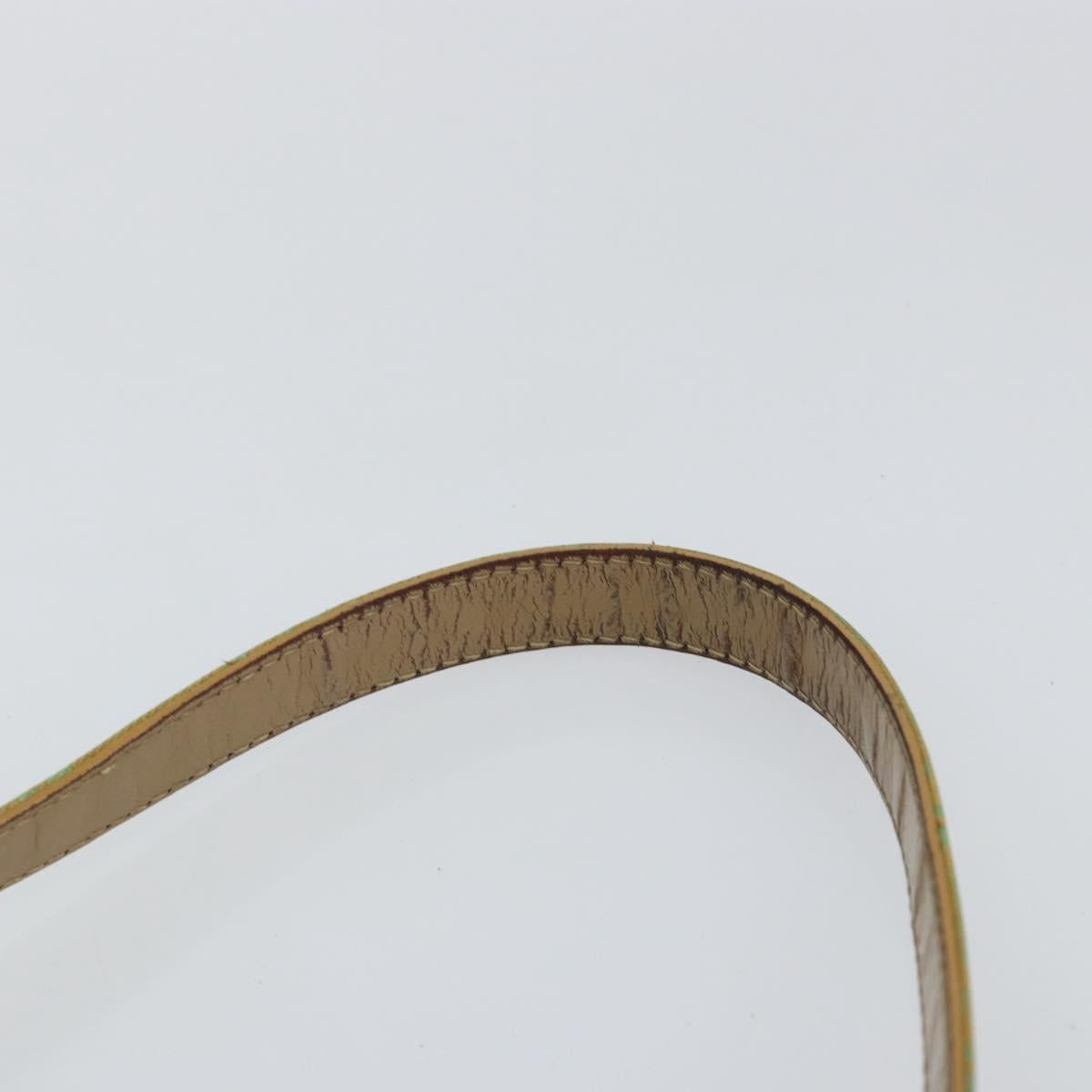 FENDI Zucchino Canvas Mamma Baguette Bag Enamel Peppermint Gold Auth 147538