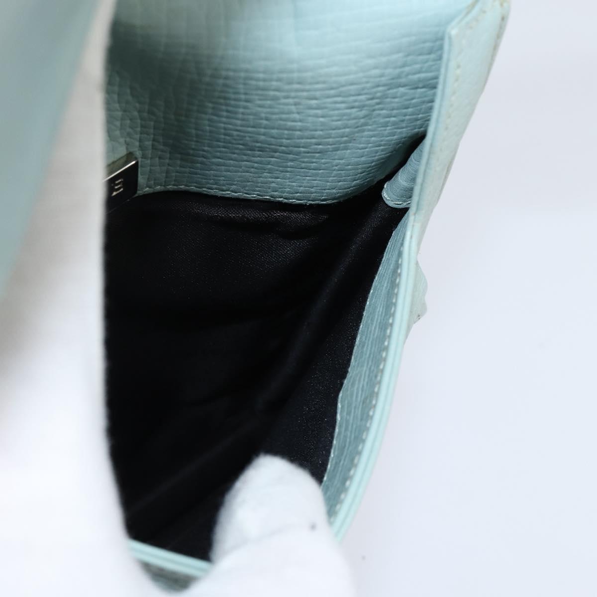 LOEWE Shoulder Bag Leather Light Blue Auth 147733