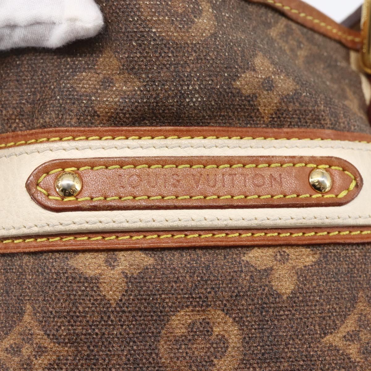 LOUIS VUITTON Monogram Tise Sac Rayure PM Hand Bag Marron M56386 LV Auth 149085