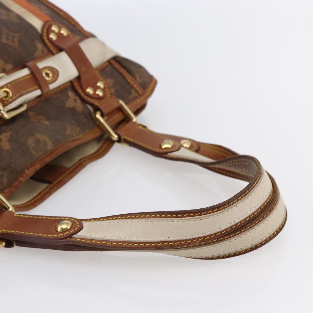 LOUIS VUITTON Monogram Tise Sac Rayure PM Hand Bag Marron M56386 LV Auth 149085