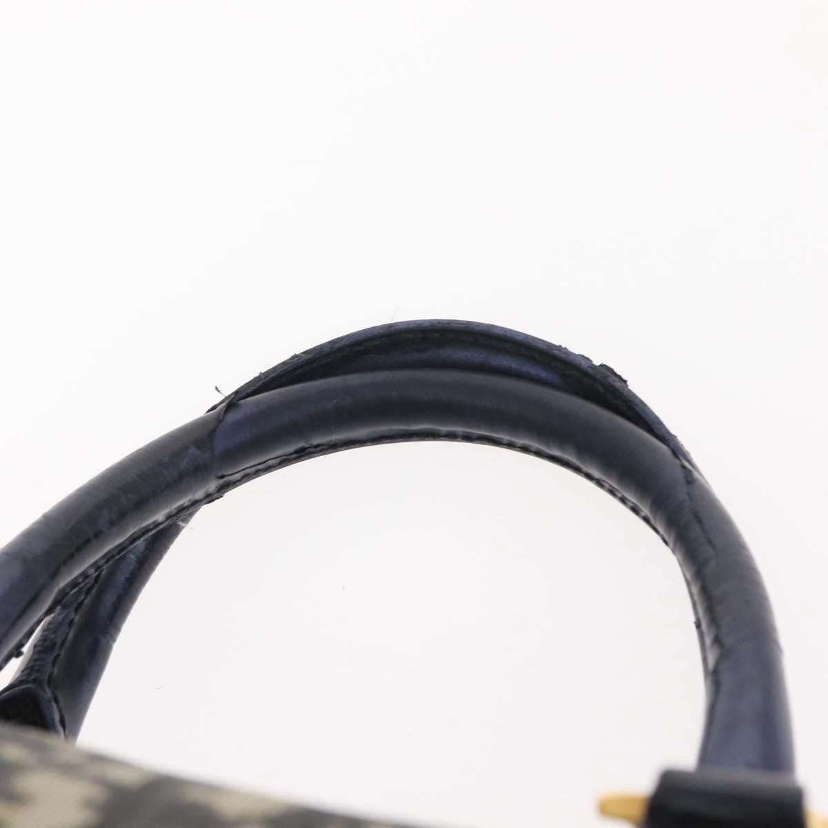 Christian Dior Trotter Canvas Hand Bag PVC Black Gold Auth 149434