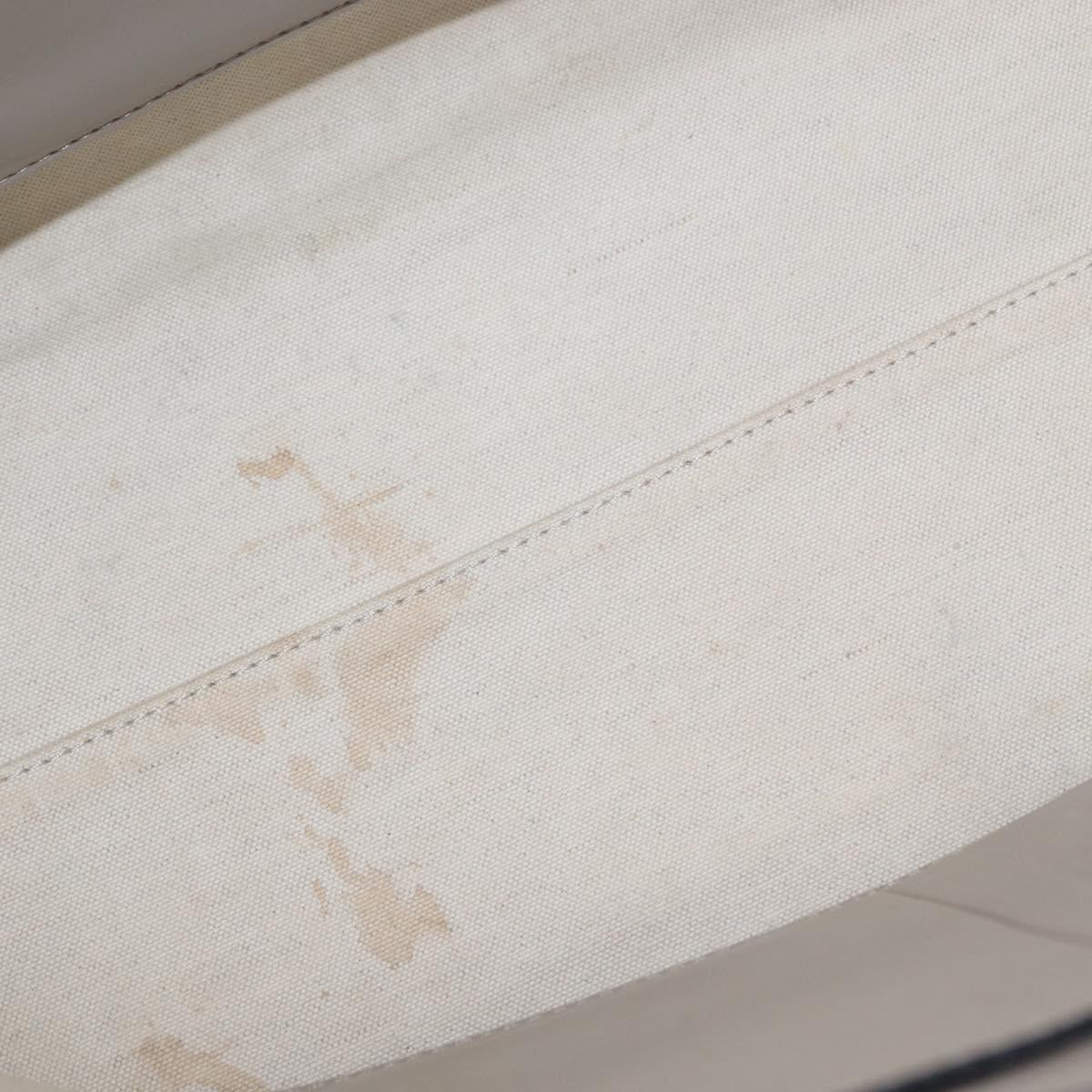 BURBERRY Medium Belt Bag Hand Bag Canvas 2way Beige Silver Auth 149727