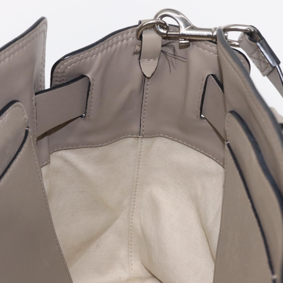 BURBERRY Medium Belt Bag Hand Bag Canvas 2way Beige Silver Auth 149727