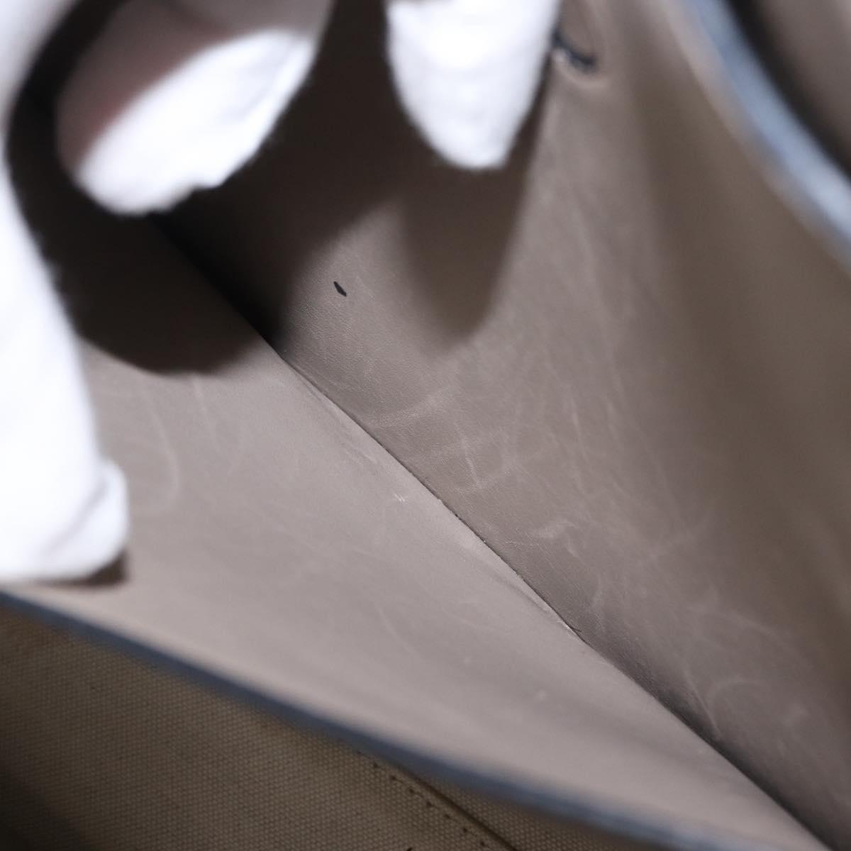 BURBERRY Medium Belt Bag Hand Bag Canvas 2way Beige Silver Auth 149727