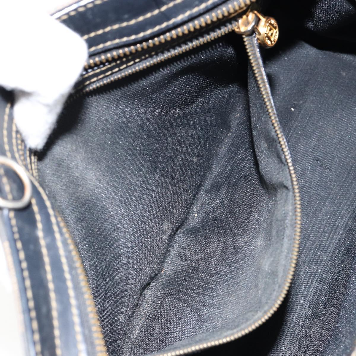 FENDI Pecan Canvas Hand Bag PVC Black Brown gold Auth 150002