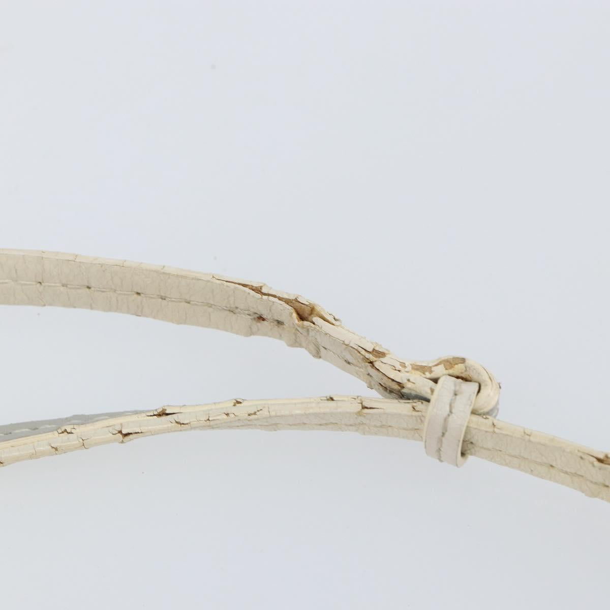 Christian Dior Romantic Trotter Canvas Shoulder Bag PVC White Silver Auth 150352V