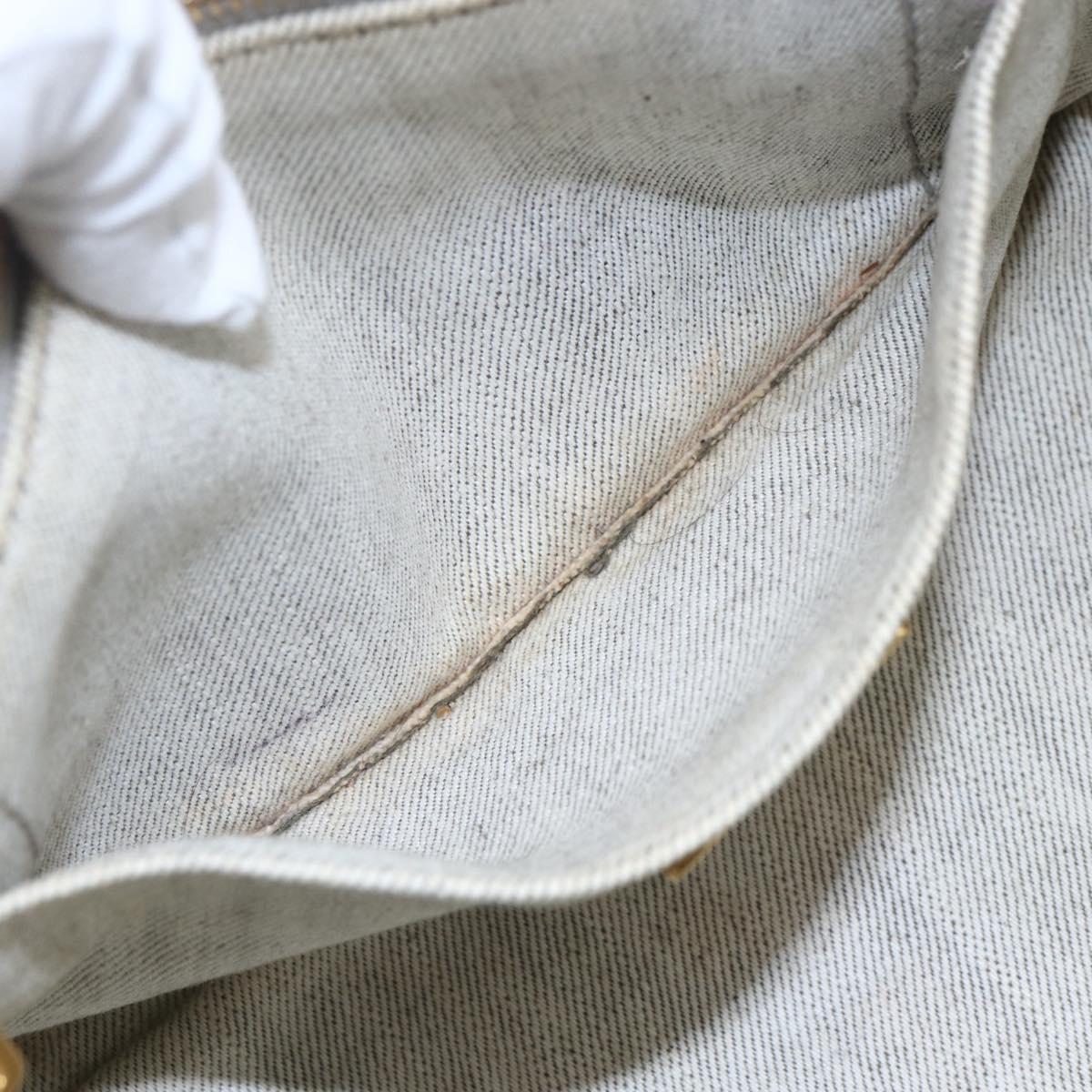 PRADA Canapa PM Hand Bag Canvas Gray Gold Auth 150536