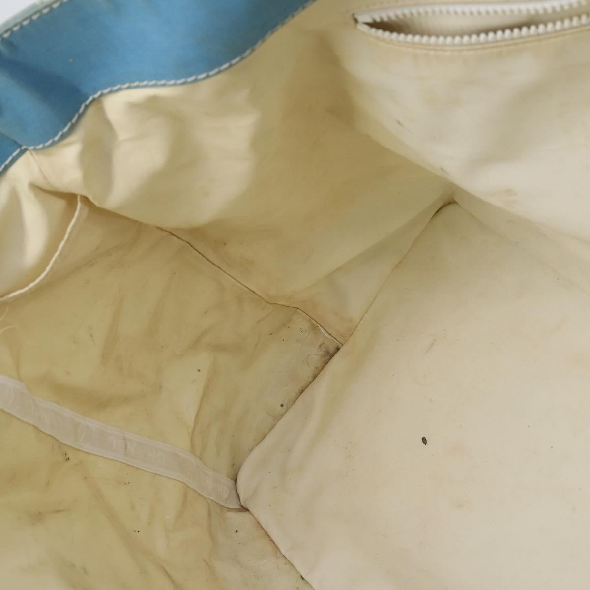 CHANEL Surfline Tote Bag Canvas Blue White CC Auth 150551