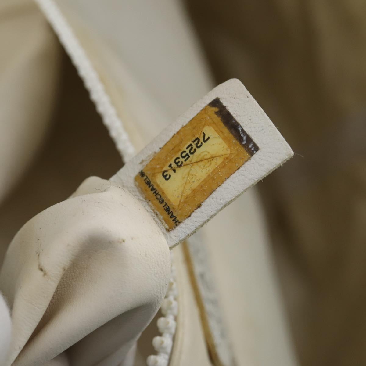 CHANEL Surfline Tote Bag Canvas Blue White CC Auth 150551