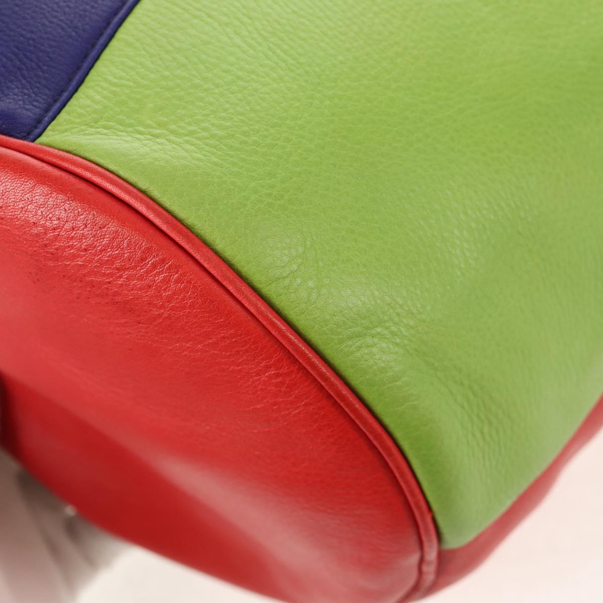 CELINE Shoulder Bag Leather Multicolor Gold Auth 150568