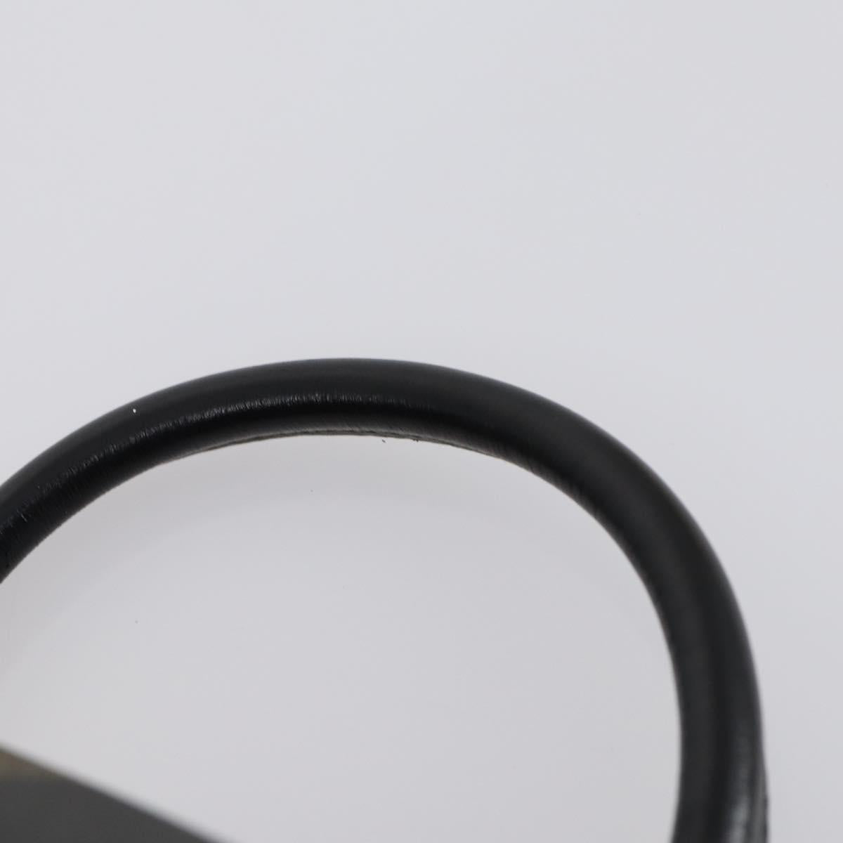 FENDI Pecan Canvas Backpack PVC Brown Black gold Auth 151065