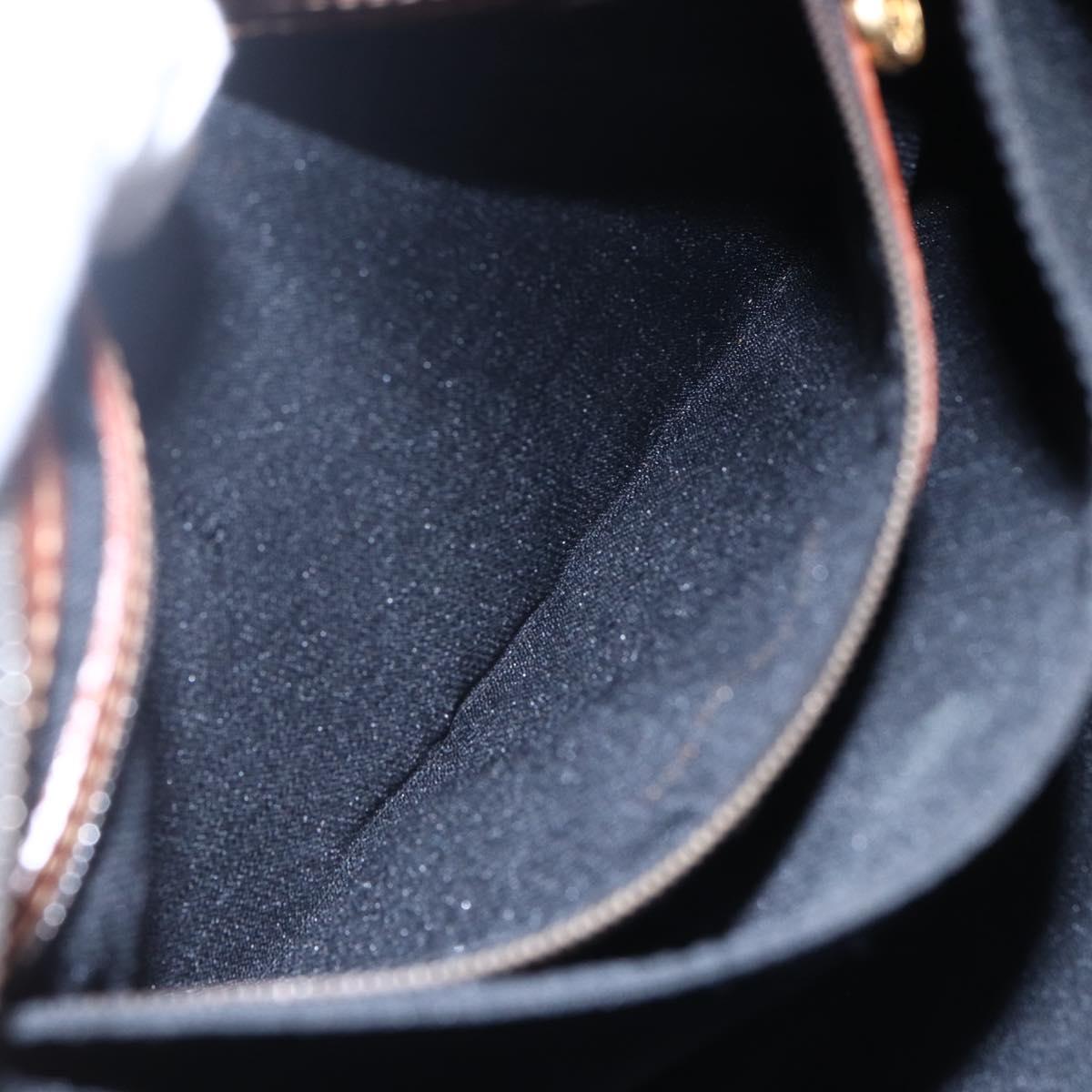 FENDI Pecan Canvas Hand Bag PVC Black Brown gold Auth 151066