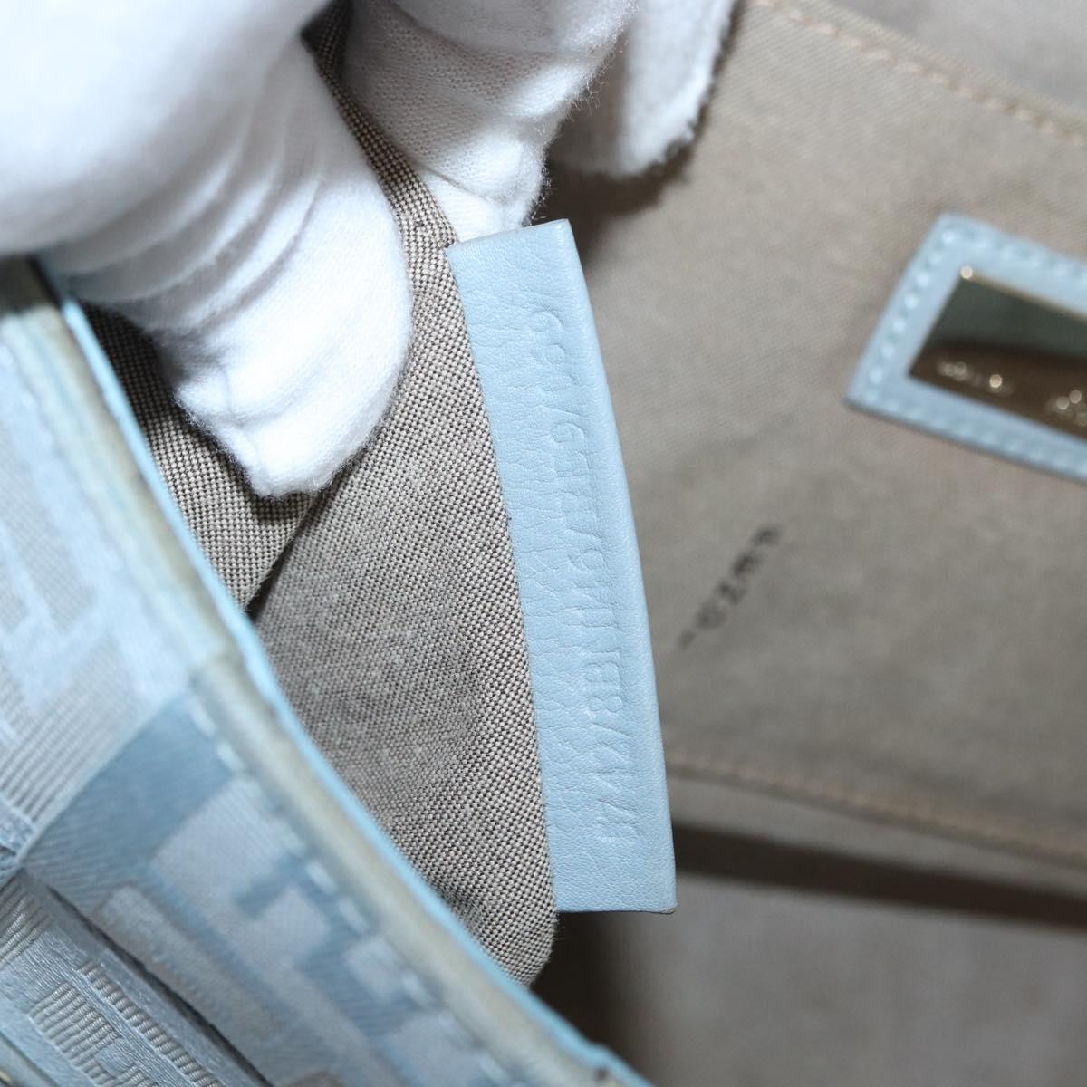 FENDI Zucca Canvas Hand Bag Light Blue Gold Auth 151194V