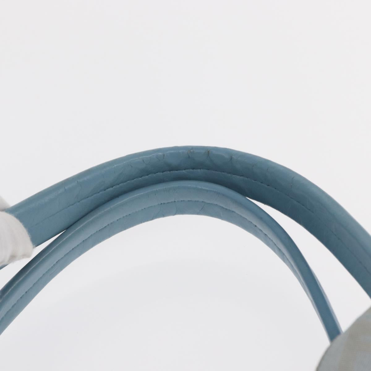 FENDI Zucca Canvas Hand Bag Light Blue Gold Auth 151194V