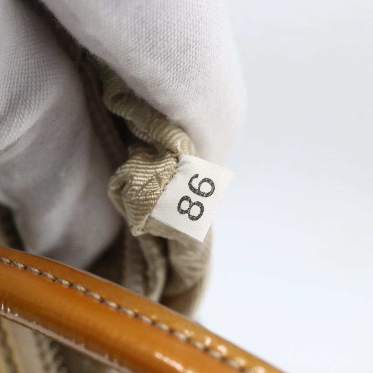 PRADA Hand Bag Nylon Beige Silver Auth 151542