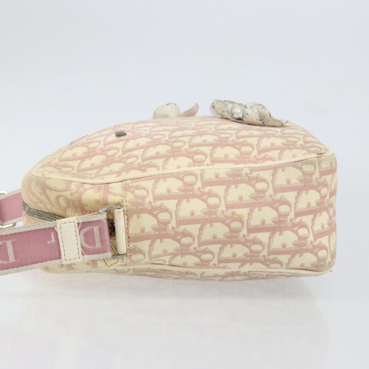 Christian Dior Trotter Canvas Shoulder Bag Pink Silver Auth 151952