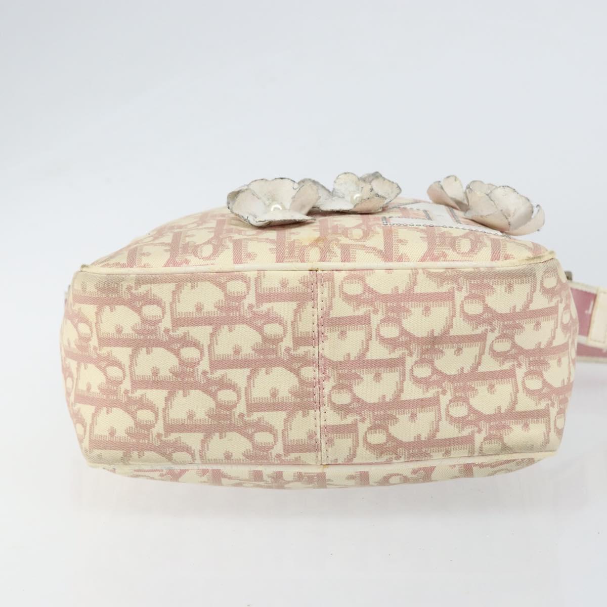 Christian Dior Trotter Canvas Shoulder Bag Pink Silver Auth 151952