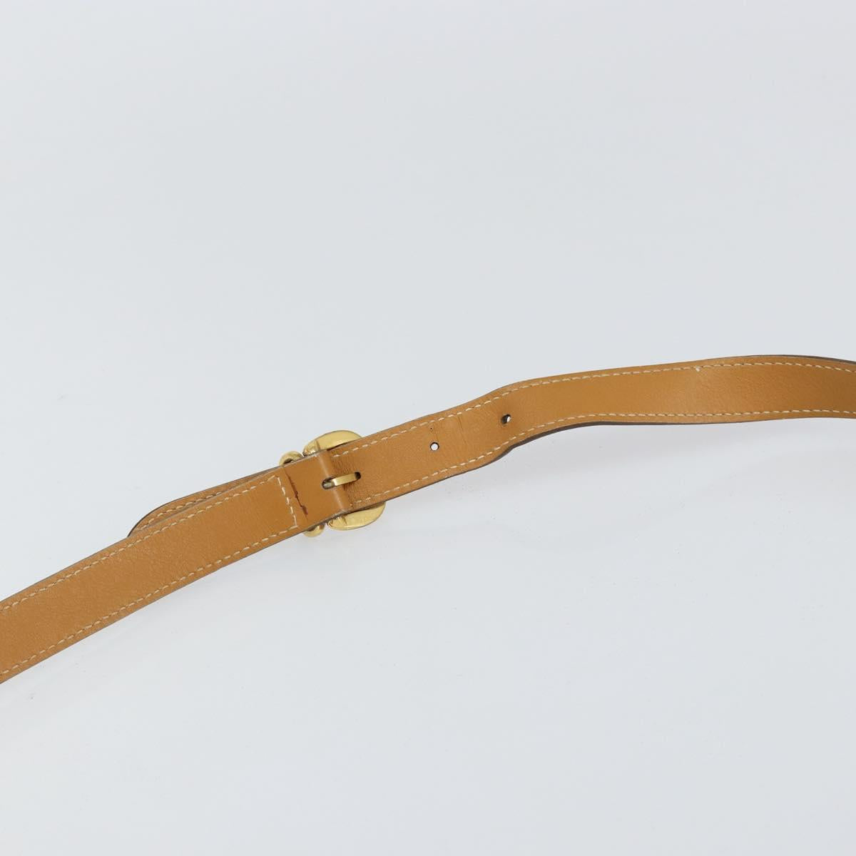 GUCCI Micro GG Supreme Shoulder Bag PVC Beige Gold 007 115 0107 Auth 152019