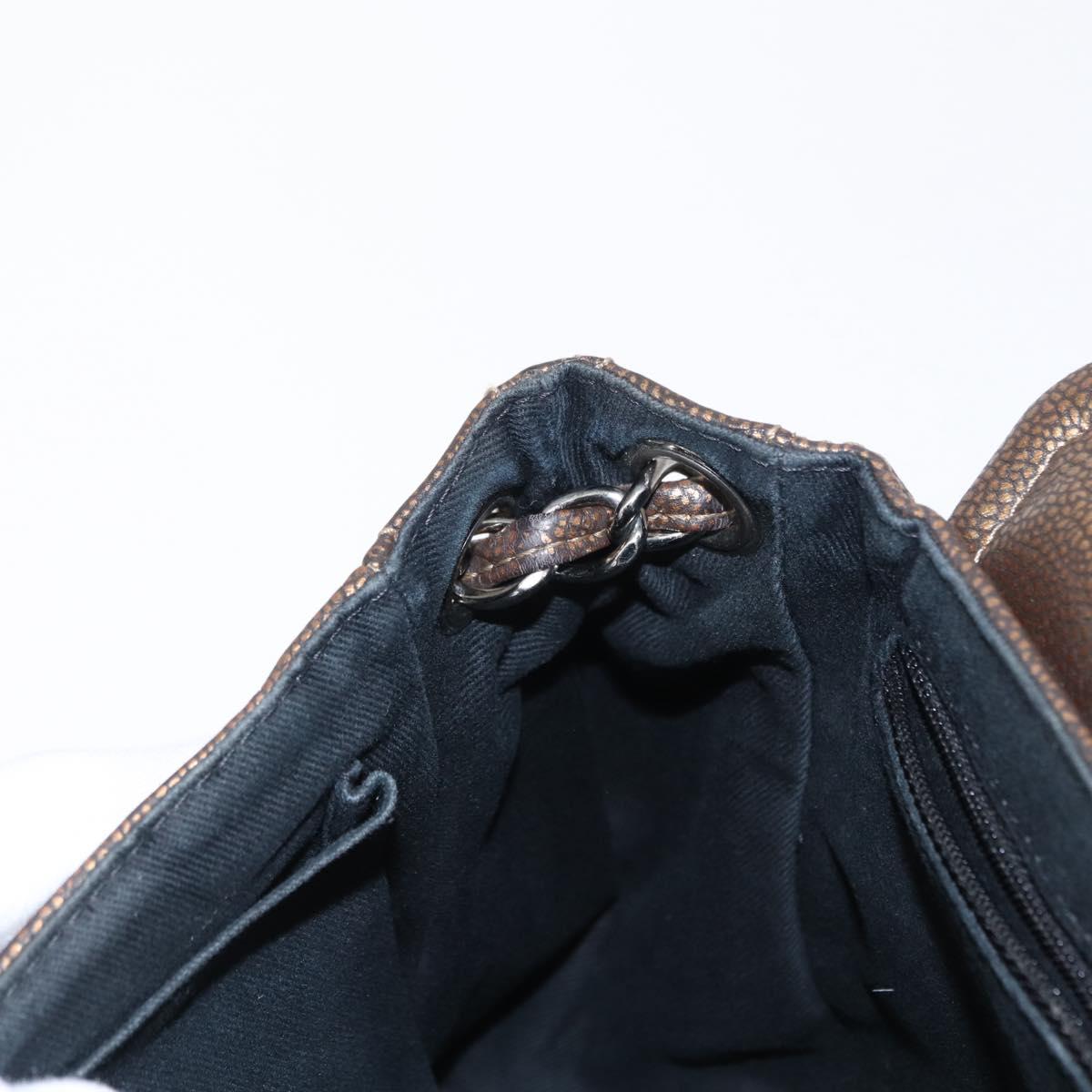 CHANEL Chain Shoulder Bag Caviar Skin Brown Silver CC Auth 152234