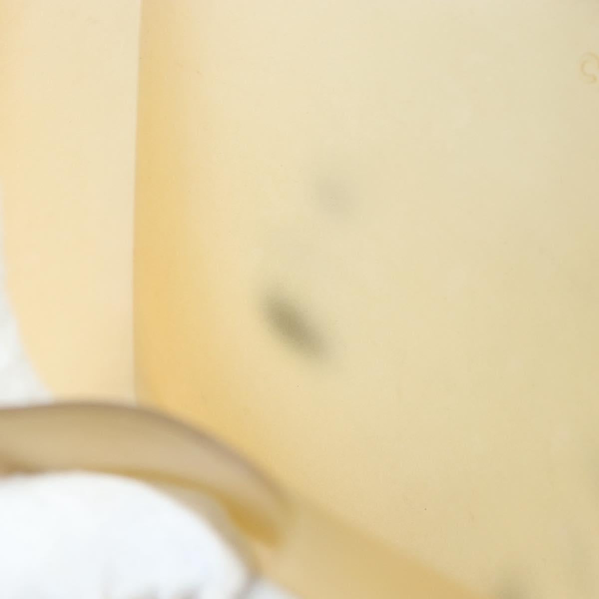 CHANEL Tote Bag Rubber Beige CC Auth 152235