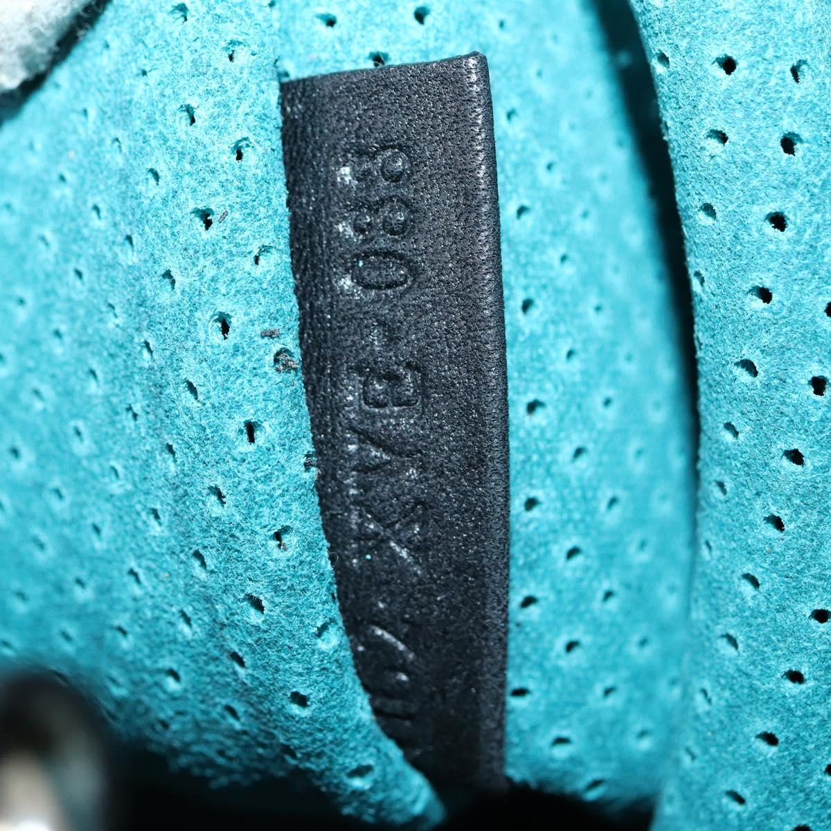 FENDI Etnico Tote Bag Enamel Black Silver Auth 152587