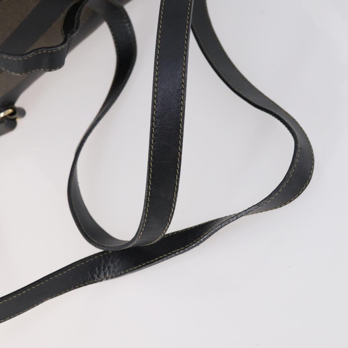 FENDI Pecan Canvas Backpack PVC Brown Black gold Auth 152942