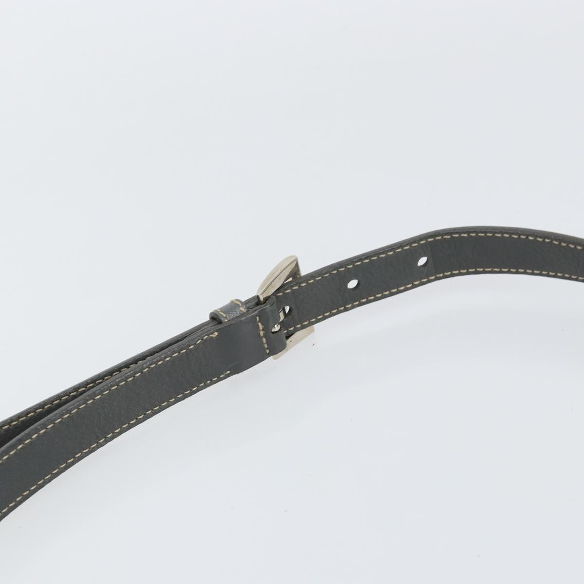 PRADA Shoulder Bag Nylon Gray Silver Auth 153172