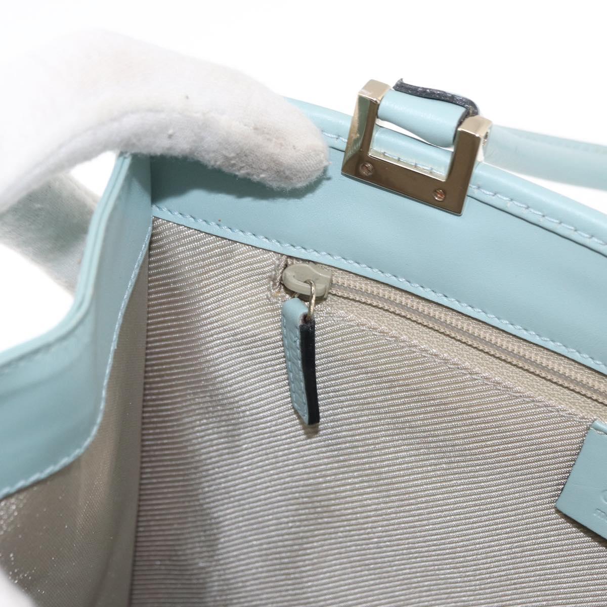 GUCCI Micro GG Canvas Guccissima Jackie Bag Leather Blue 002 1065 Auth 153706