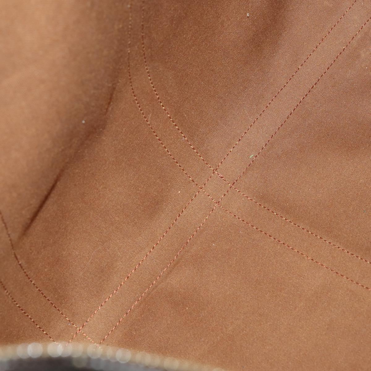 LOUIS VUITTON Monogram Flanerie 50 Shoulder Bag M51116 LV Auth 153805