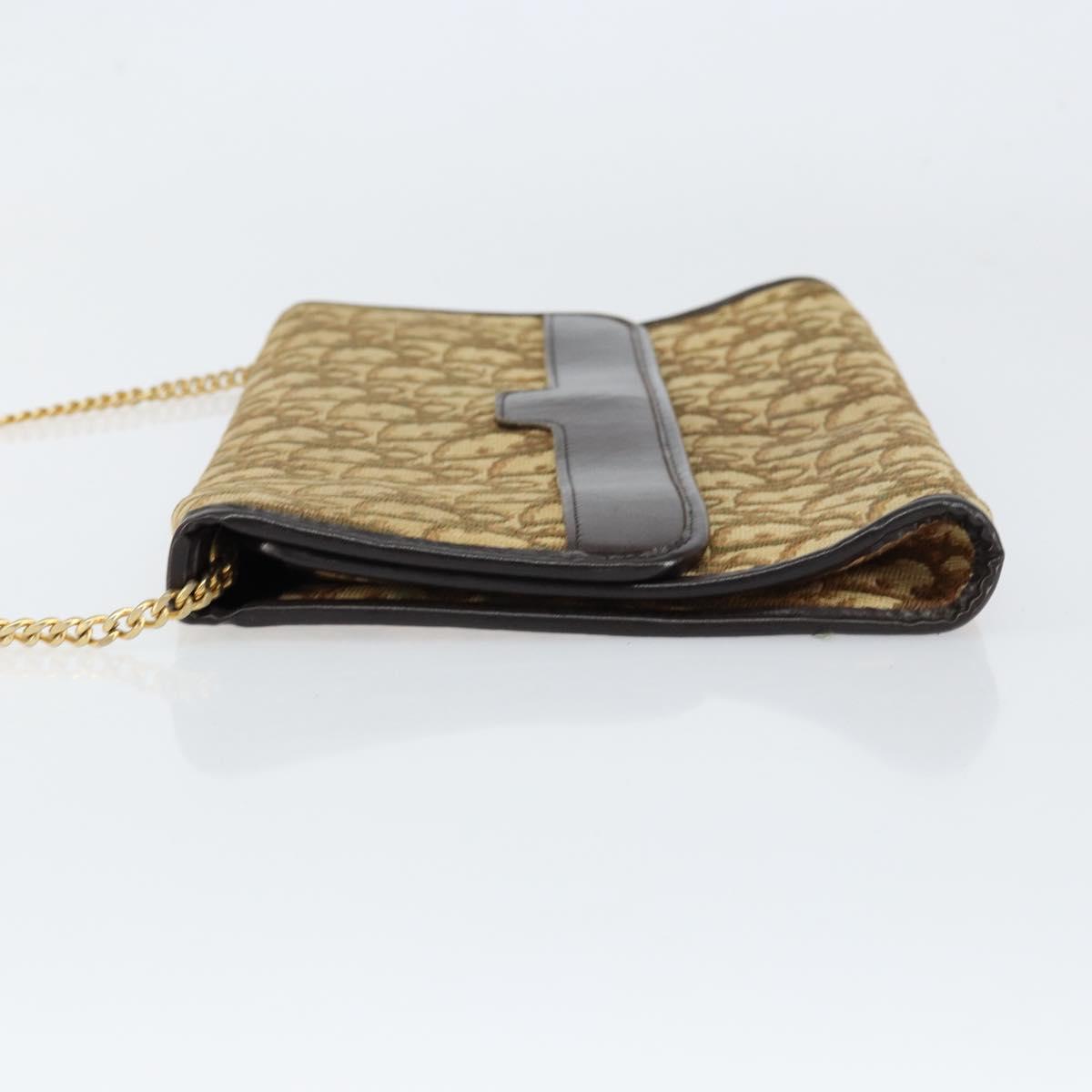 Christian Dior Trotter Canvas Chain Shoulder Bag Brown Gold Auth 153817