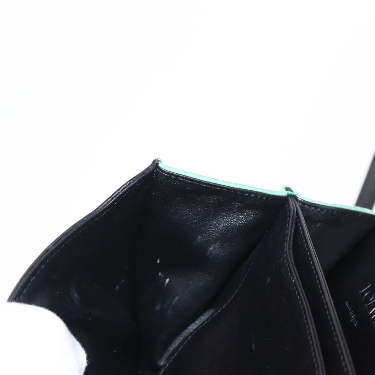 LOEWE Barcelona Shoulder Bag Suede Leather Green Silver Auth 153905