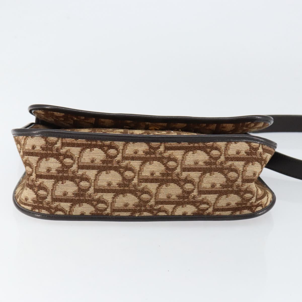 Christian Dior Trotter Canvas Shoulder Bag Brown Gold Auth 154327