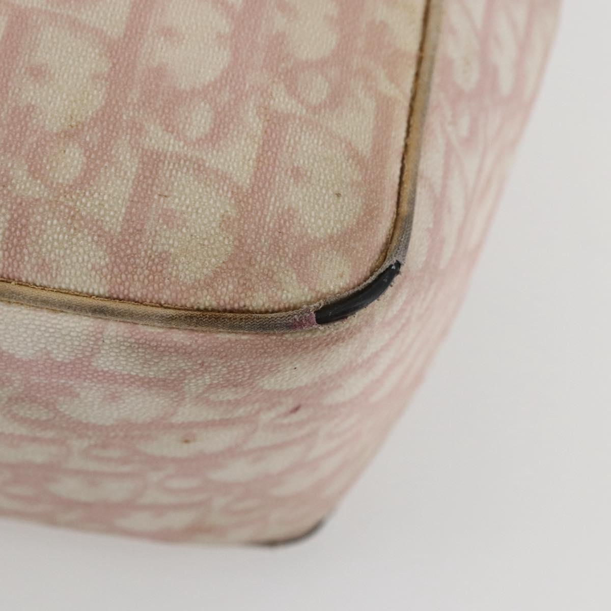 Christian Dior Trotter Canvas Romantic Chain Bag PVC Pink Silver Auth 154738