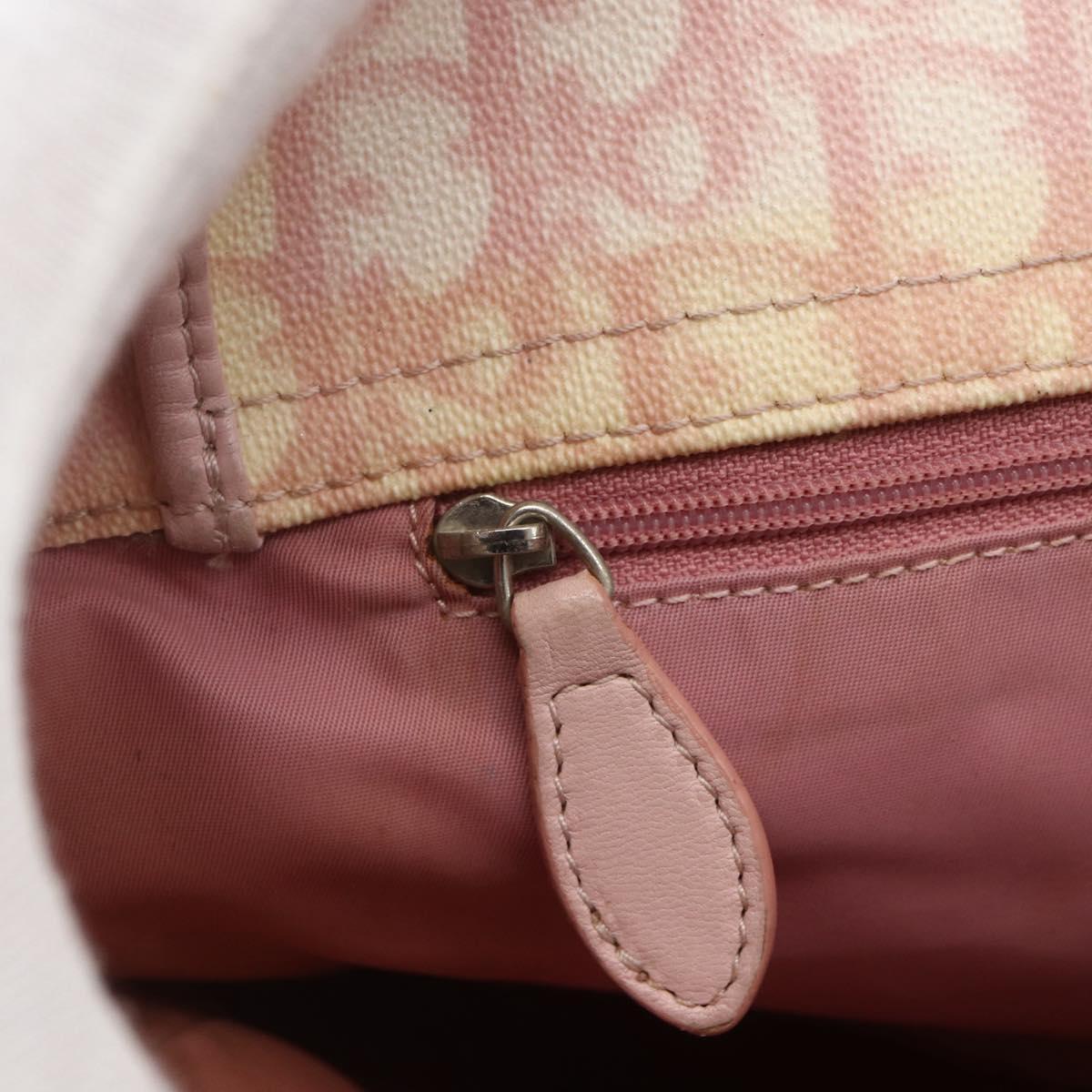Christian Dior Trotter Canvas Romantic Chain Bag PVC Pink Silver Auth 154738