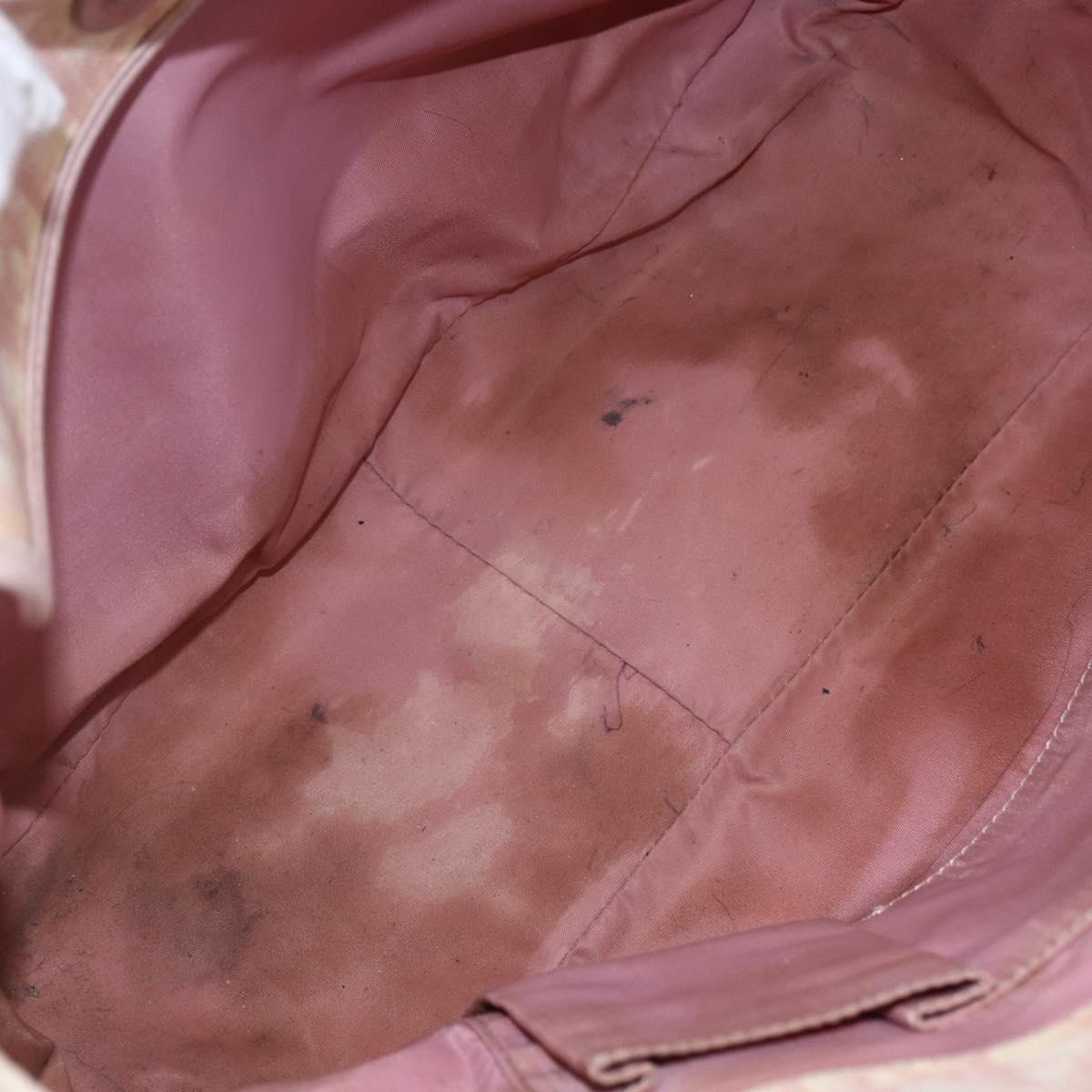 Christian Dior Trotter Canvas Romantic Chain Bag PVC Pink Silver Auth 154738