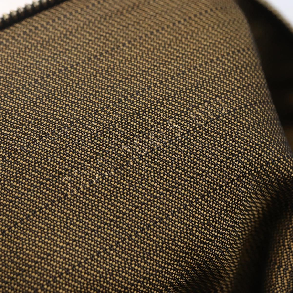 FENDI Zucca Canvas Vanity Hand Bag Black Brown gold Auth 154745