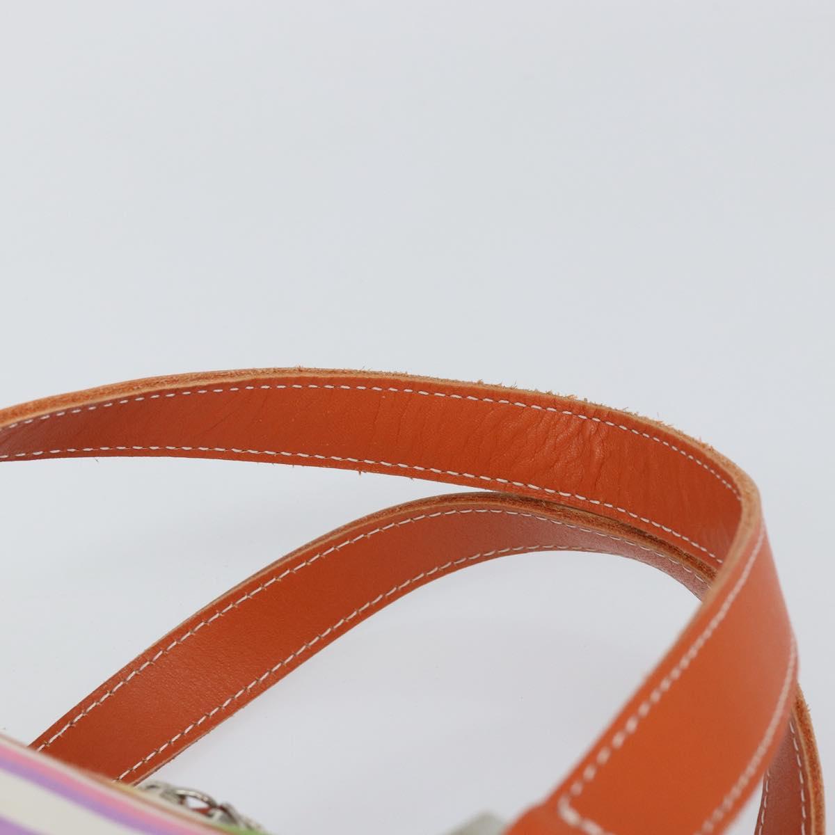 BURBERRY Blue Label Hand Bag Canvas Multicolor Silver Auth 155294