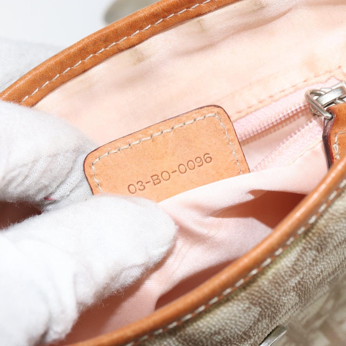 Christian Dior Trotter Canvas Romantic Shoulder Bag PVC Beige Silver Auth 156500